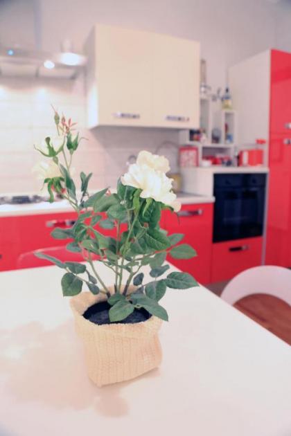 Florje House - image 4