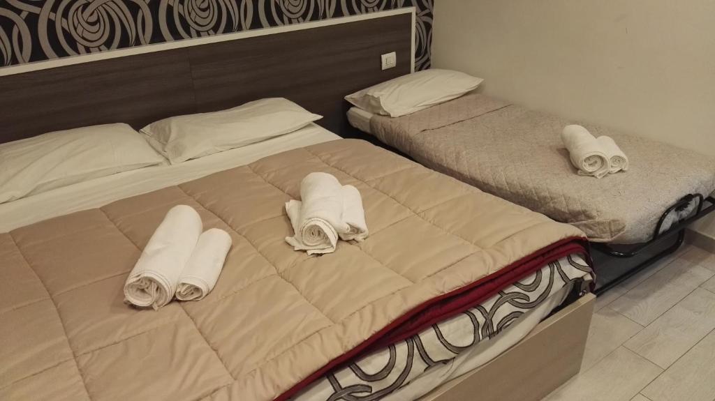 Metronia Guest House - image 4