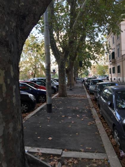 Giulio Cesare luxury apartment - image 13