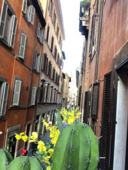 BBHOMEROME - Charme Luxury Flat Campo dei Fiori - image 18