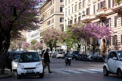 Eccelso Hotel - image 3