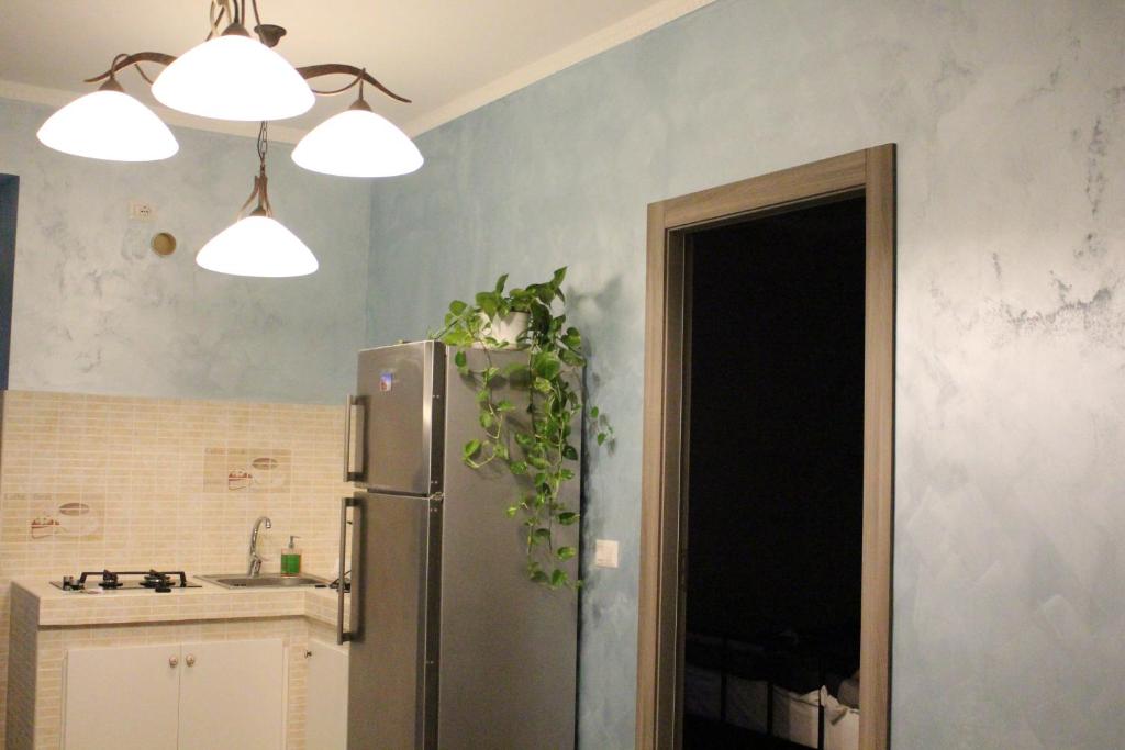 Iris Guest House - image 4