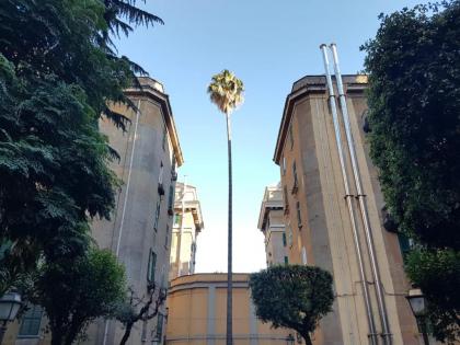 Ave Cesare - image 6