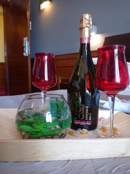 Romalive Hotel - image 23
