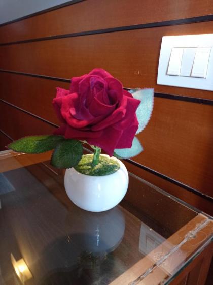 Romalive Hotel - image 27