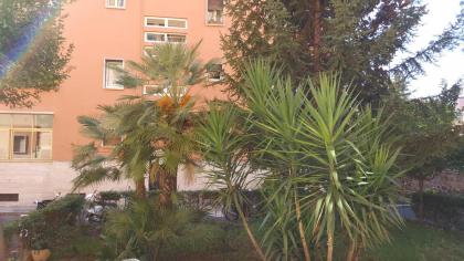 C'e posto per te - image 10