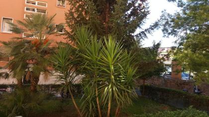 C'e posto per te - image 8