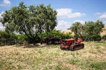 Enchanting country house - RELAX - Close to Rome Rome 