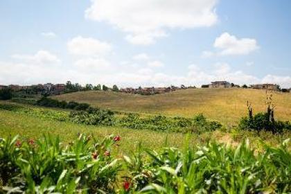 Apt 4 - Tenuta Capizucchi - Pool & Garden 