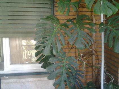 Olimpica Relais guest house - image 6