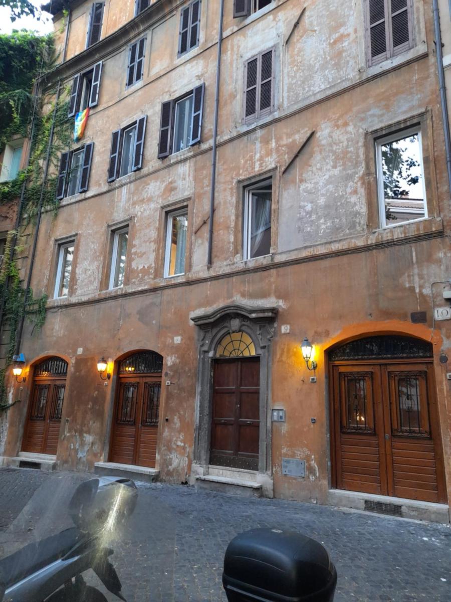 Navona Artist 10 APT - image 3