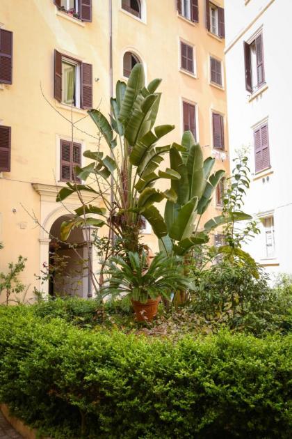 Mama House Roma - image 9