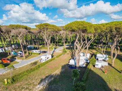 Camping Village Roma Capitol - image 19