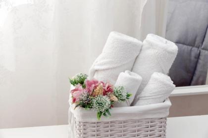 B&B Giuly - image 15