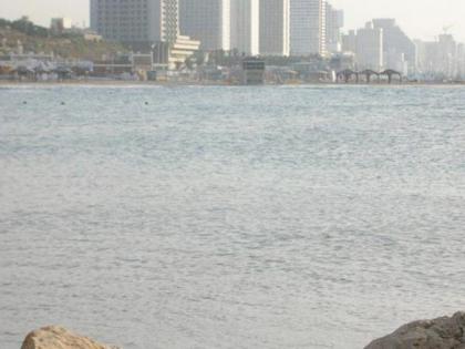 Armon Hayarkon Hotel - image 14
