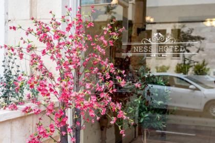 Ness Hotel - image 1