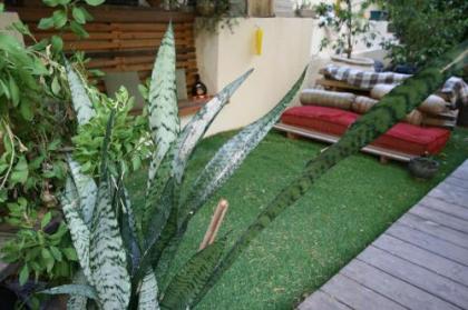 Wonderful Garden Apartment - image 10