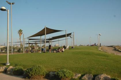 Loft in TLV - image 15