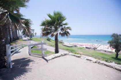 Spat Beach - image 18