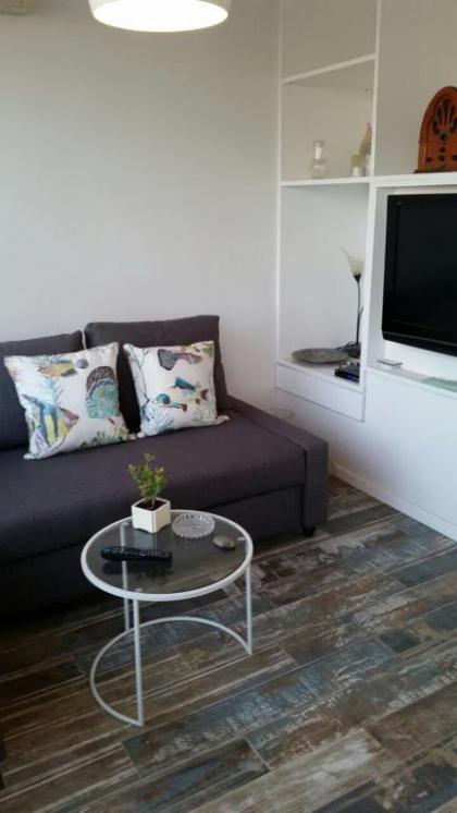 Tel Aviv Roof Apartment - image 8