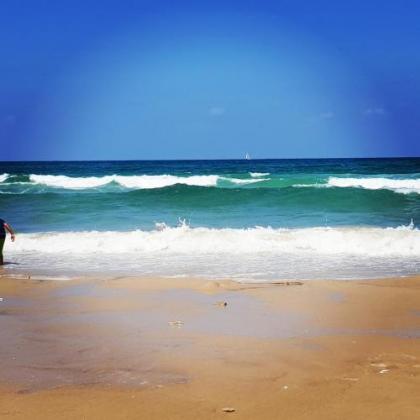 Sweet Home On The Beach - image 2