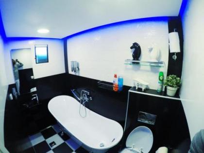 Avi's Place - image 4