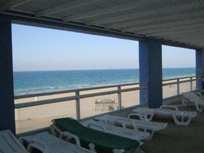 Luxury Apartment - 1335 - image 11