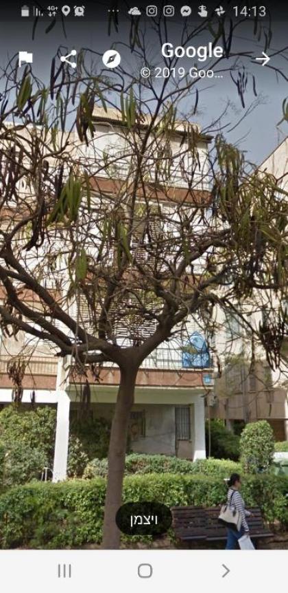 Central Tel Aviv in a culture and health zone - image 11