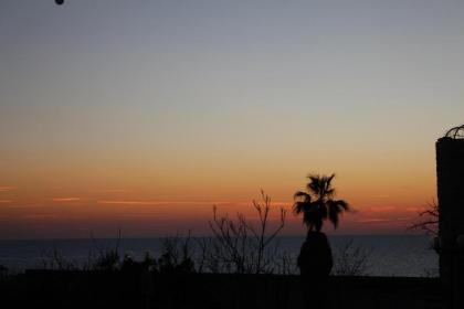 North Tel Aviv - image 3