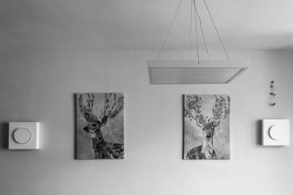 Nordau BLVD 2 Bedrooms - image 11