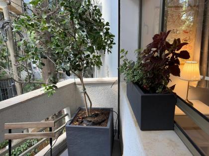Roza Apartment - image 14
