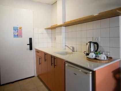 Selina Frishman Tel Aviv - image 8