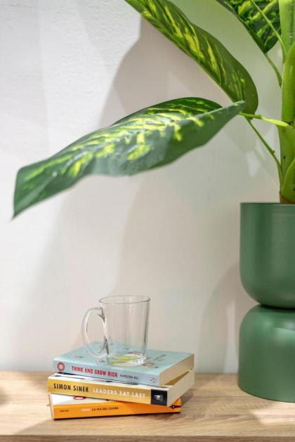 Lively new apt with Bomb Shelter beside the beach M5 - image 10