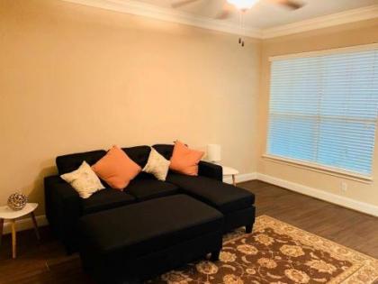 Cozy 2 bedroom home near MD Anderson NRG & Dtown - image 4