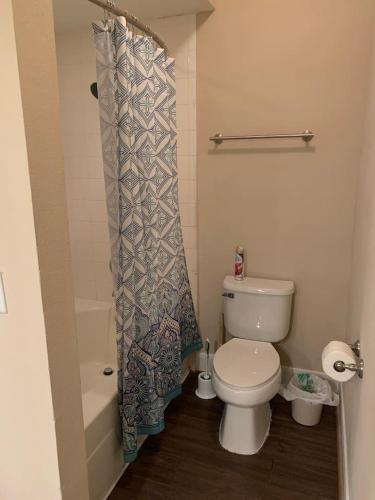 Cozy 2 bedroom home near MD Anderson NRG & Dtown - image 5
