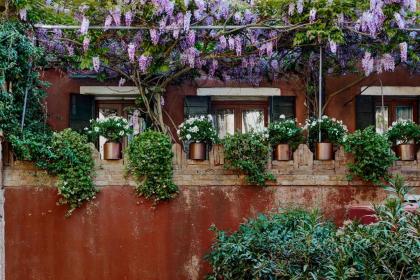 Locanda Fiorita - image 9