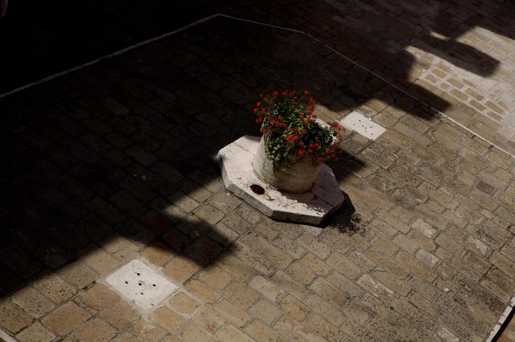 Hotel Al Codega - image 7