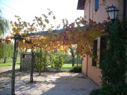 Hotel Il Casolare - image 2