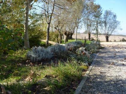 La Noghera - image 16