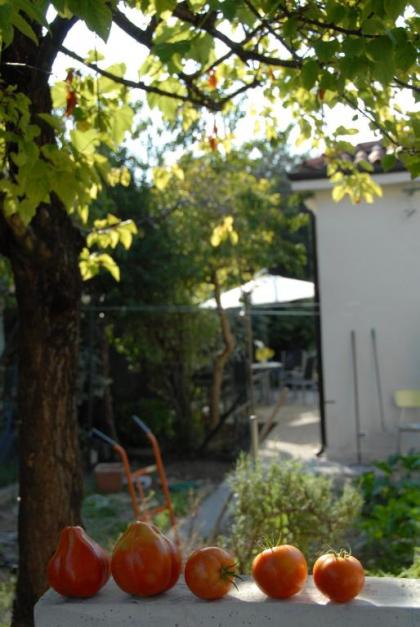 Da Irene - image 3