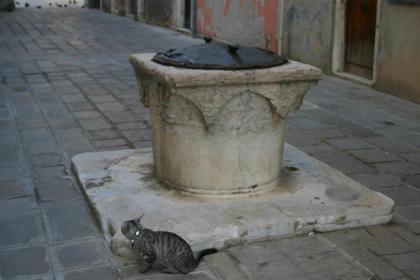 Appartamento Ca' Di Nive - image 2