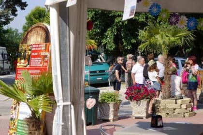 Camping Rialto - image 17