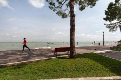 Venice Blue Lagoon - image 8