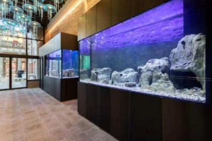 Hotel Aquarius Venice-Ascend Hotel Collection - image 4