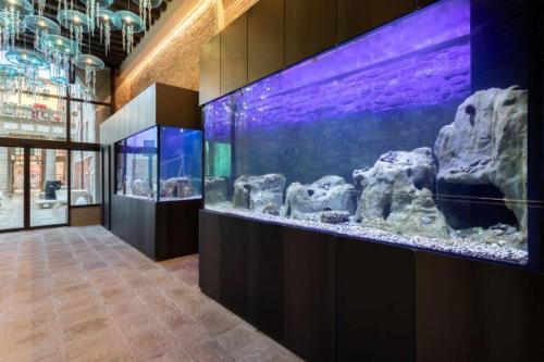 Hotel Aquarius Venice-Ascend Hotel Collection - image 4