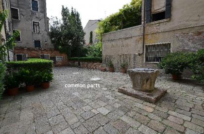 Tribuno-Pauline - image 4