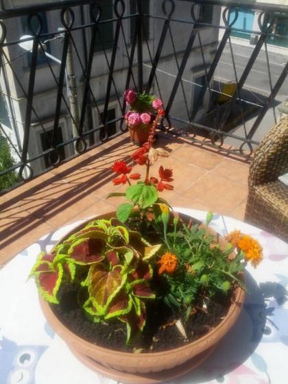 Hotel Villa Tiziana - image 8
