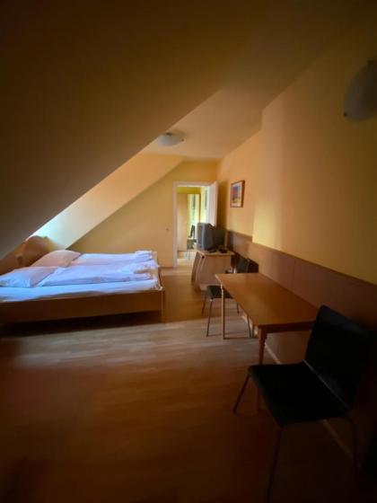Appartement Pension 700m zum Ring - image 5