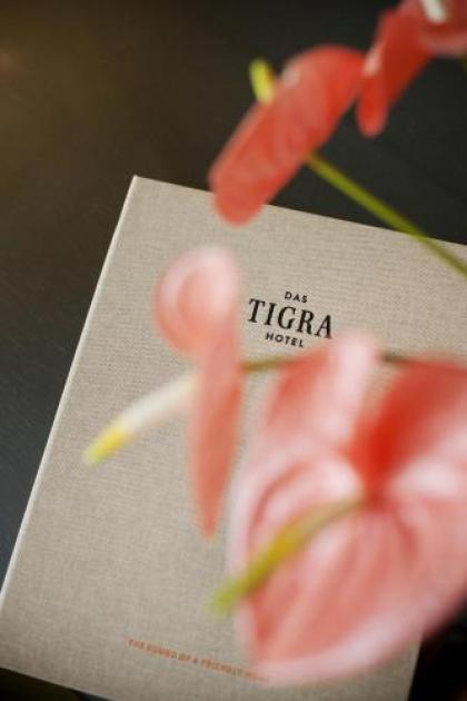 Hotel Das Tigra - image 6