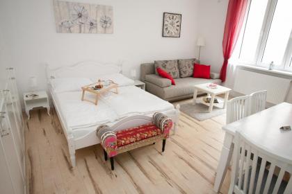 Traditional Apartments Vienna TAV - City - image 4